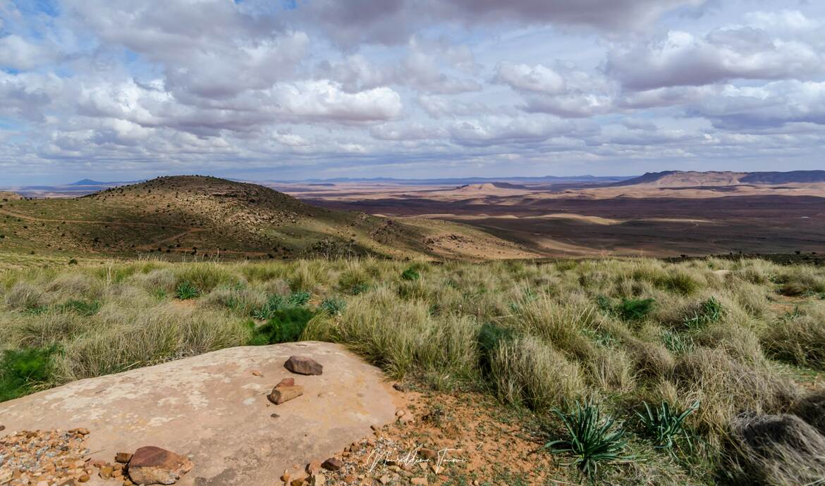 Monts de l'atlas saharien