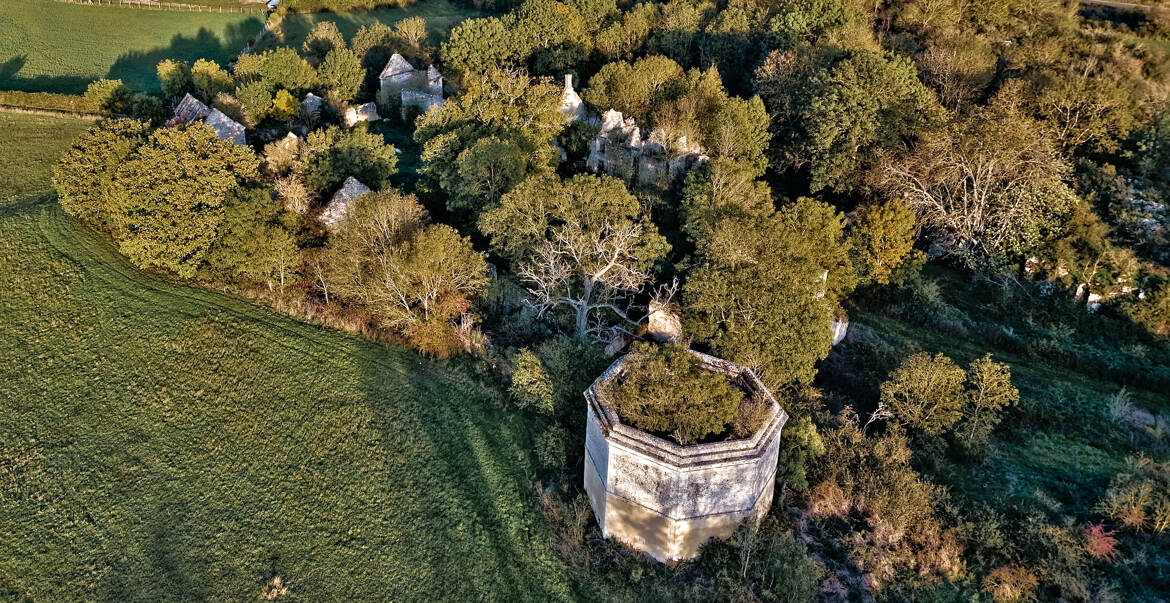 Ruines sylvestres