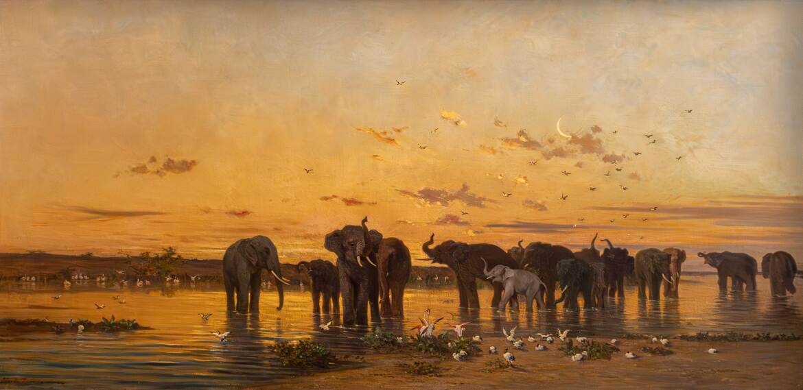Éléphants d’Afrique