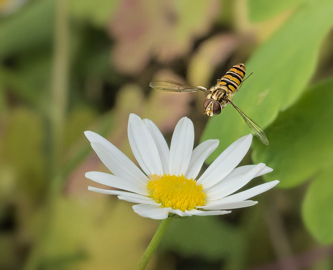 Aire de ravitaillement