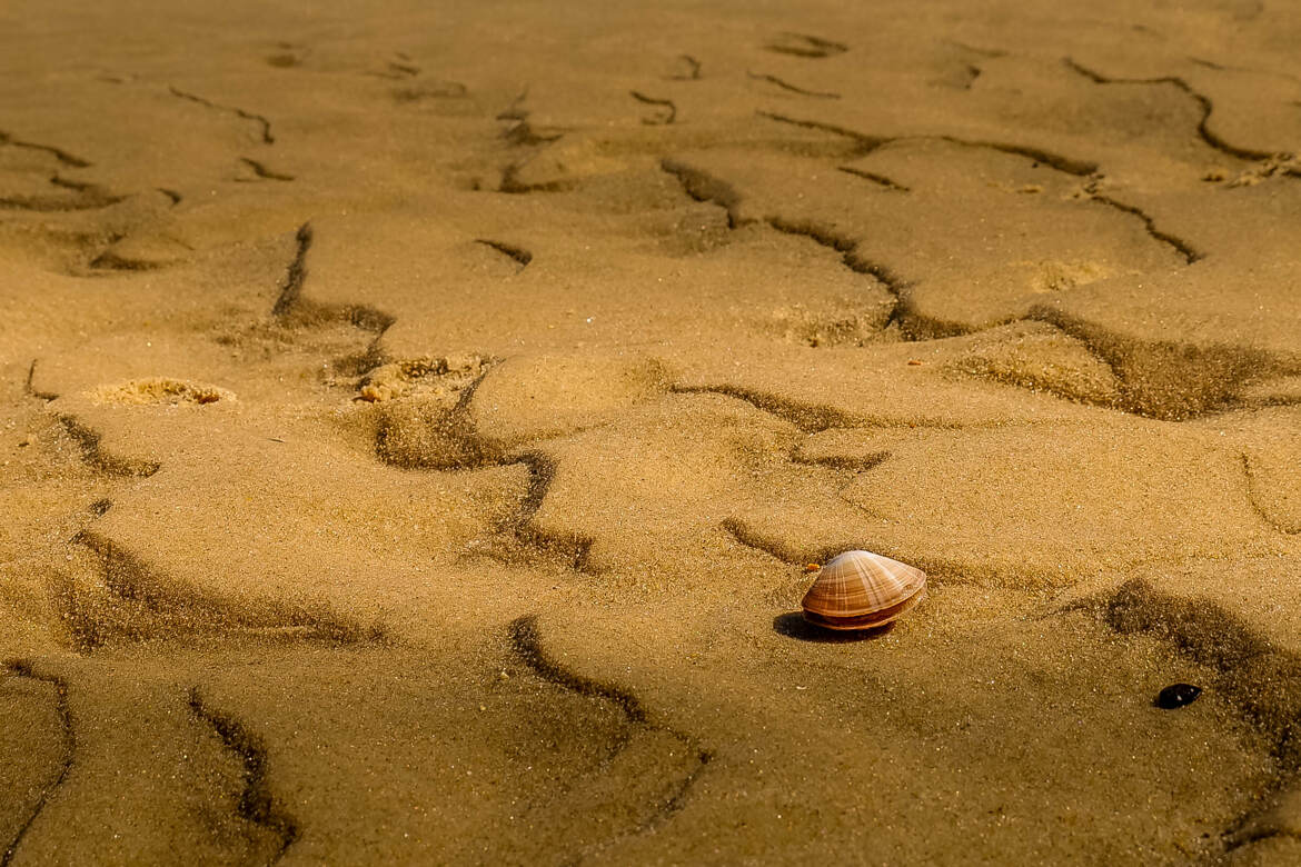 Seul sur la plage