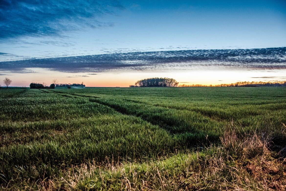 Stratocumulus en fin de journée