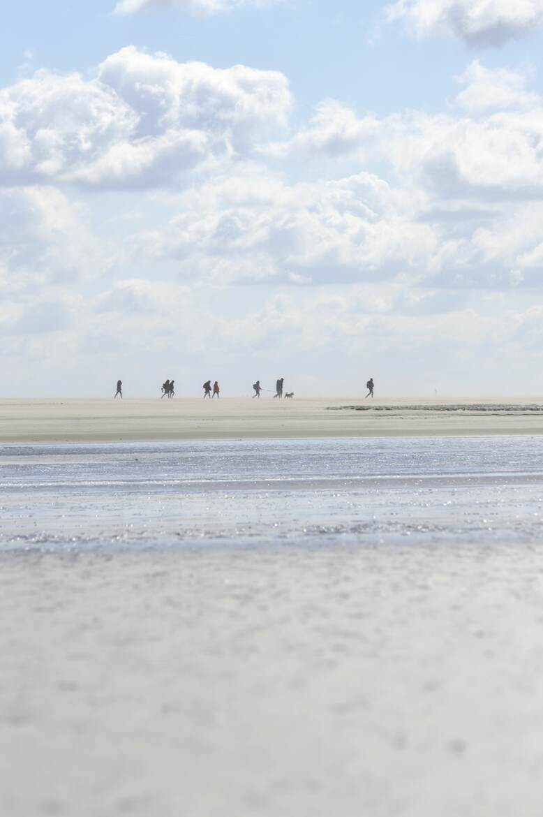 promenade sur la baie du mont st michel