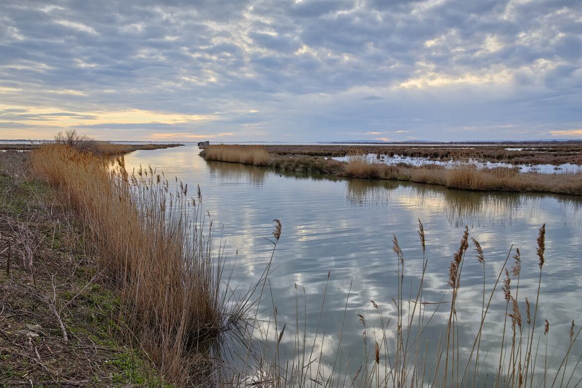 Le canal de Lansargues