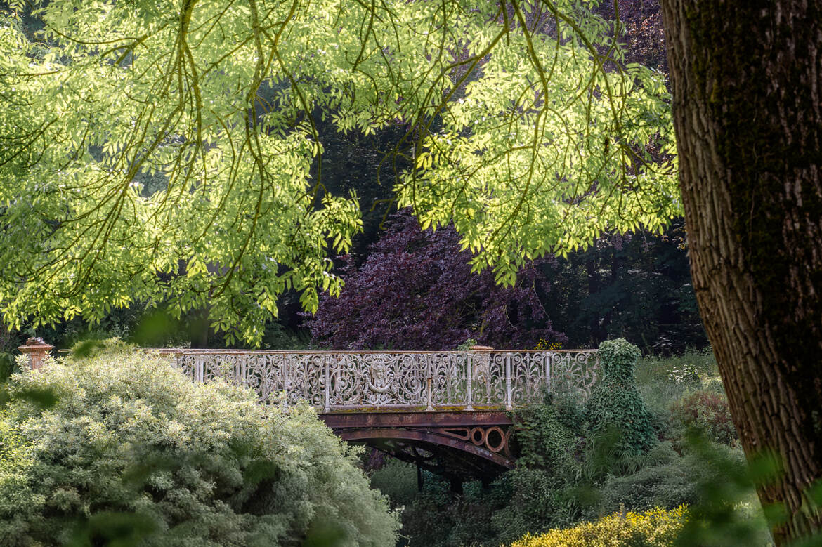Pont en fer forgé, nichée au cœur d'une végétation luxuriante.