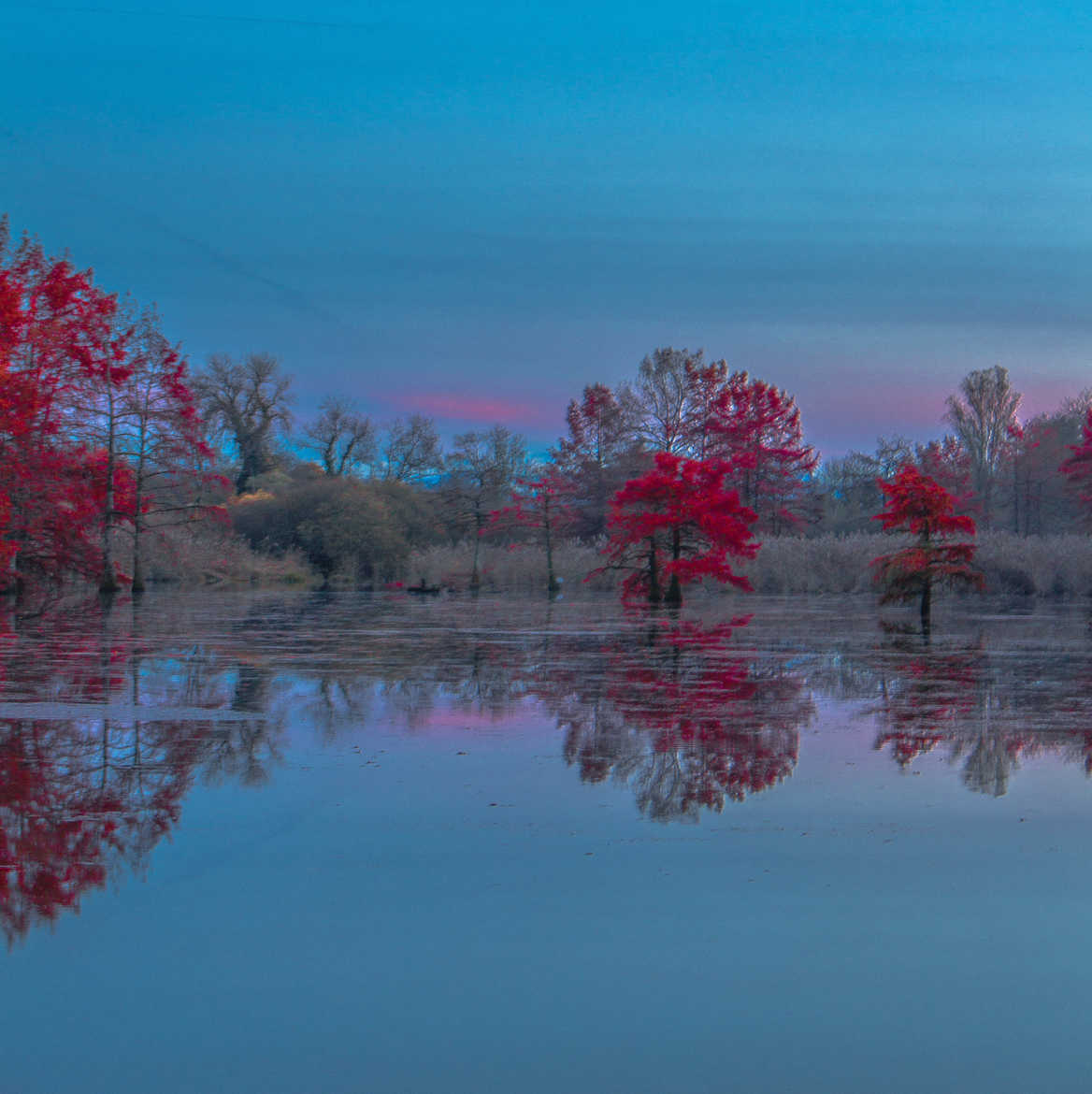 Soir d automne