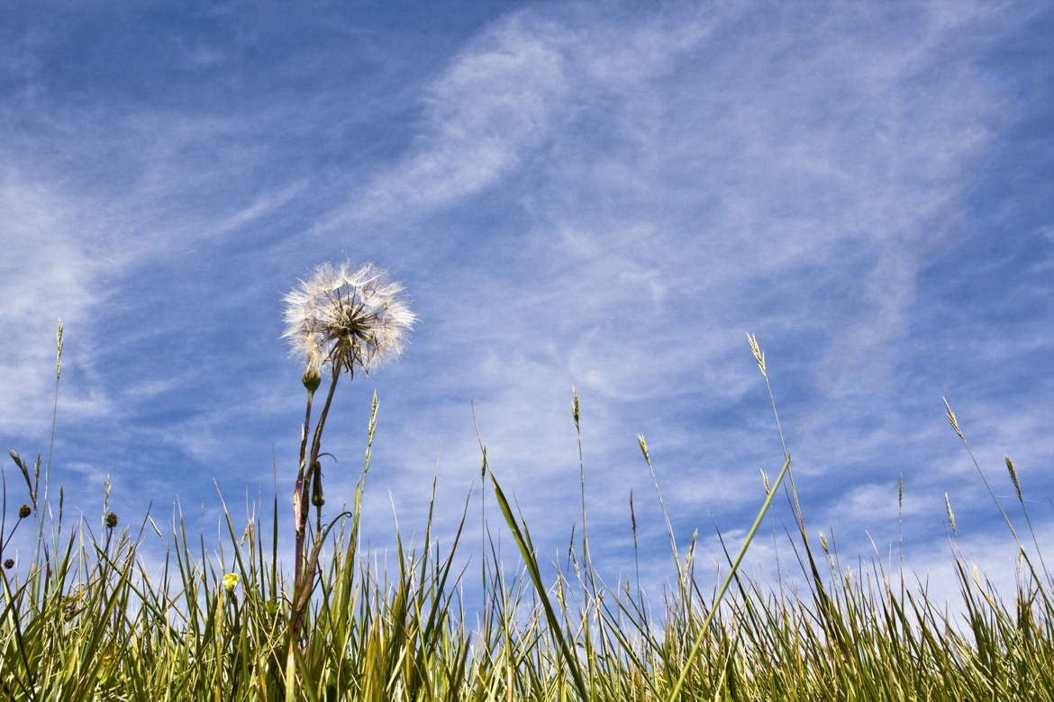 jour d'été