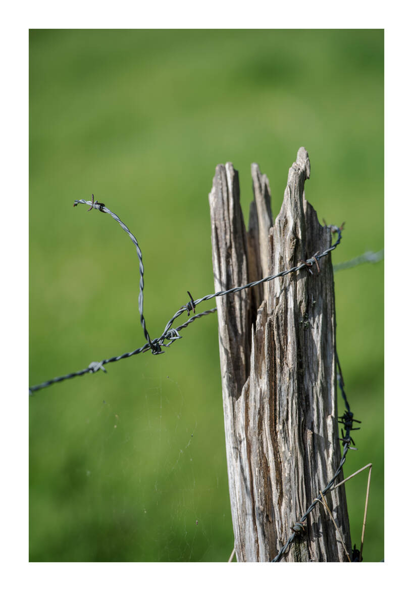 Poteau de clôture en bois entouré de fil de fer barbelé.