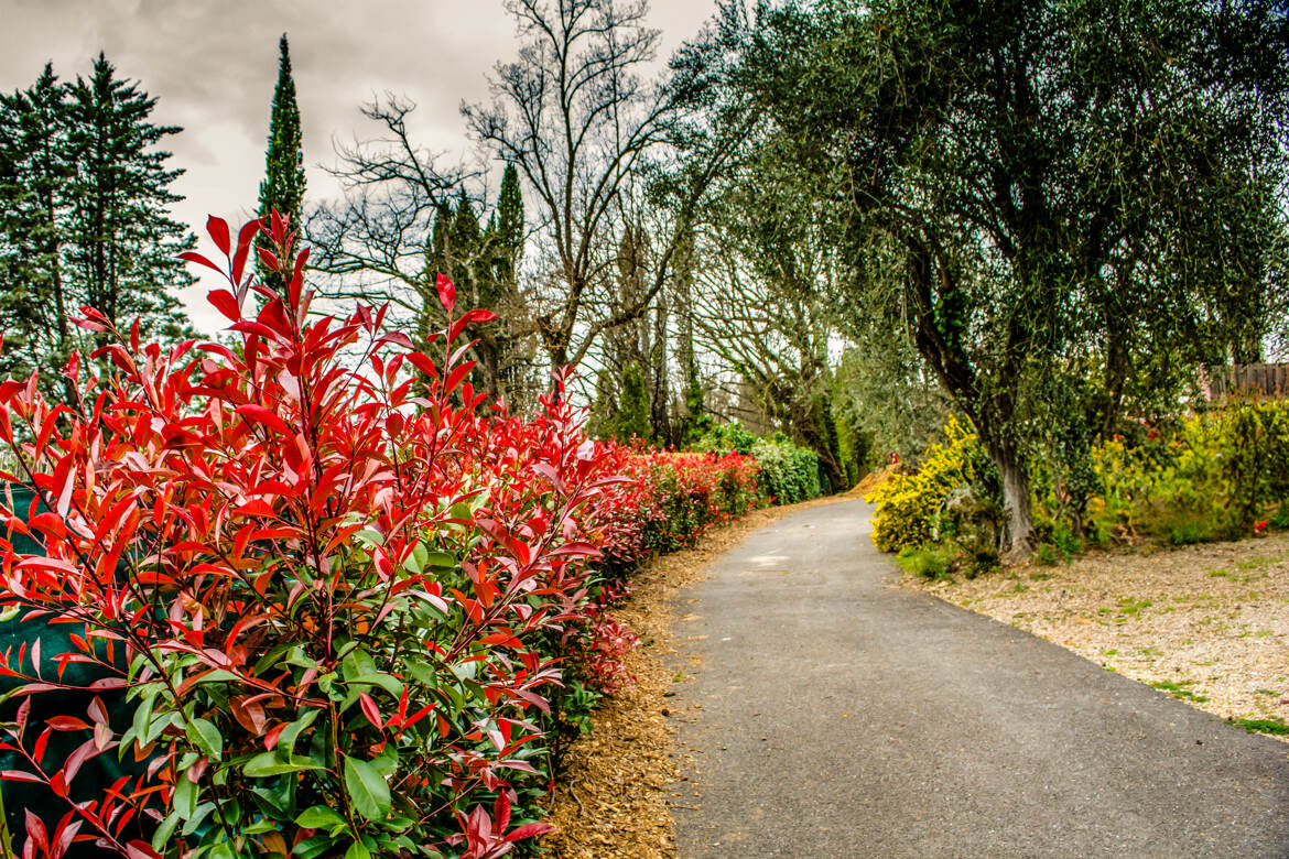 Un parcours tout en couleurs