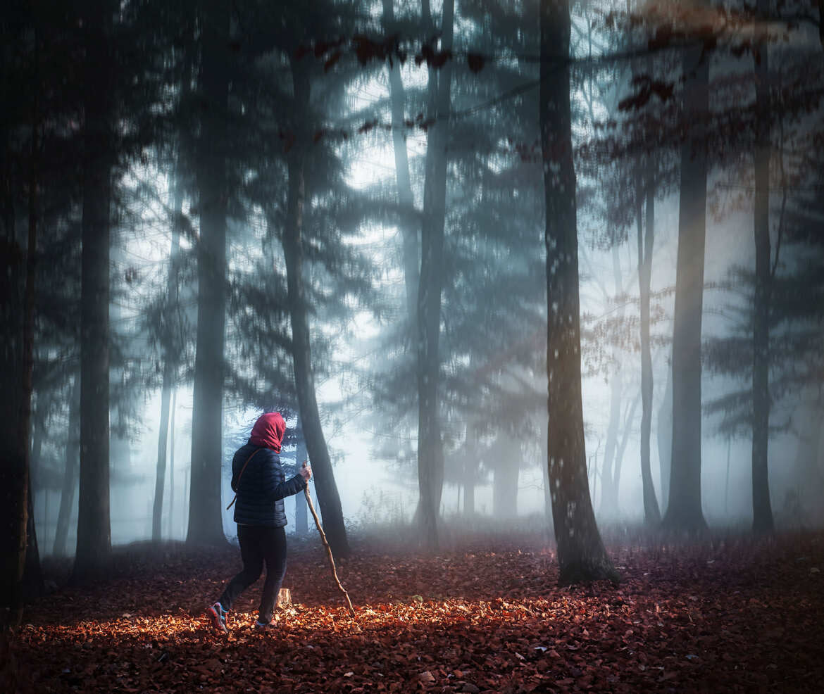 Promenons nous dans les bois ...