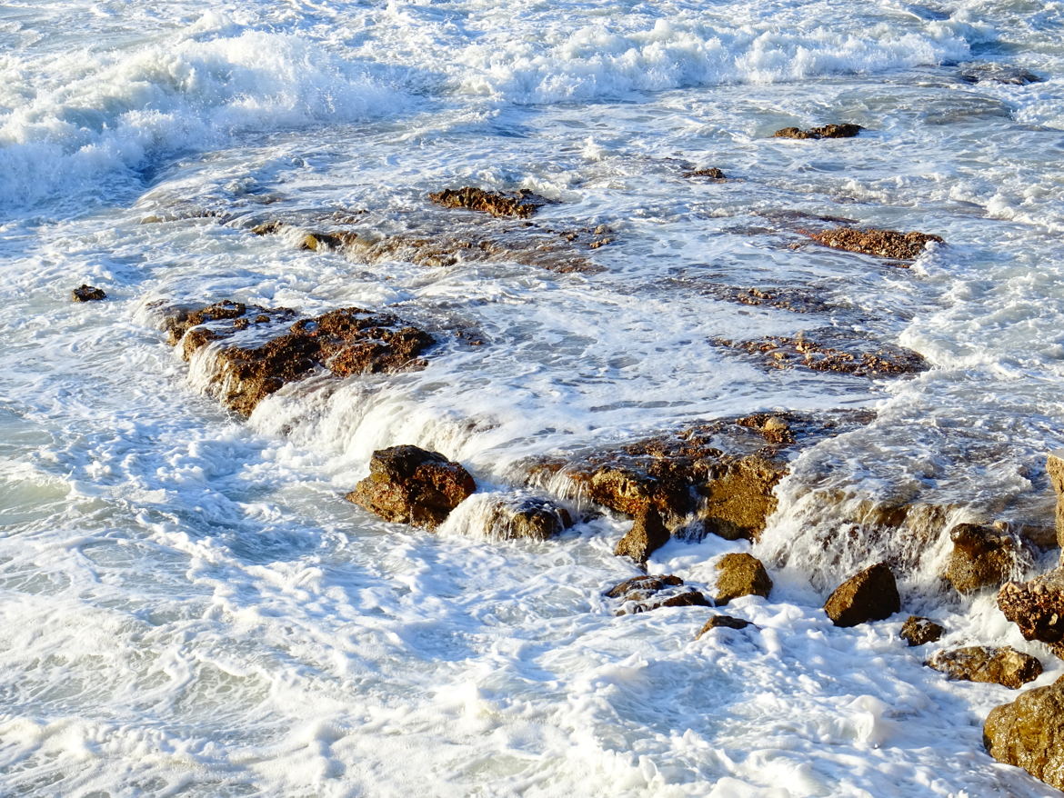 La neige des mers