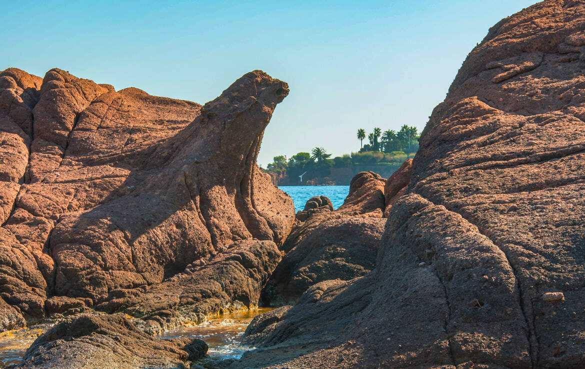 La Nature Créatrice