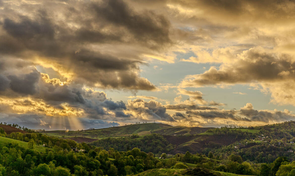 spectacle de lumières