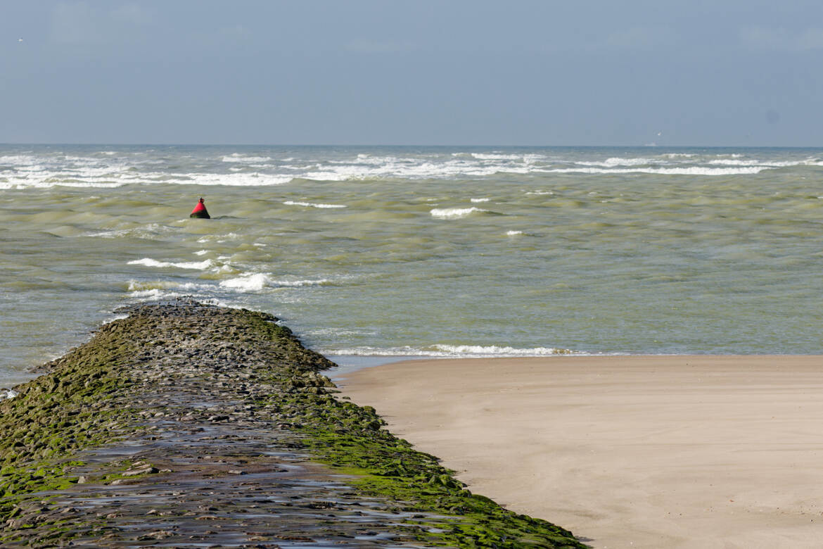 bord de mer a maree descendante