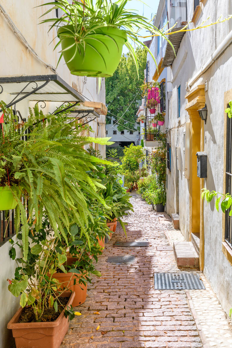 Marbella, old town, ruelle 13