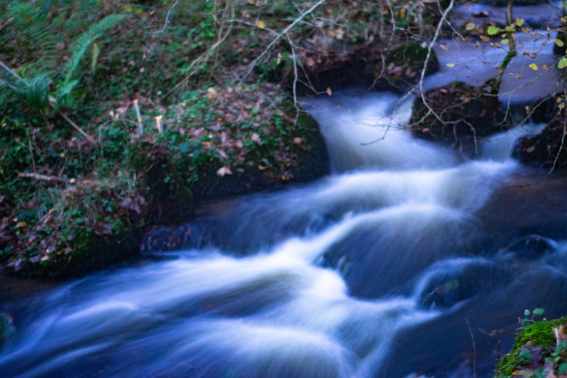 petite rivière en automne