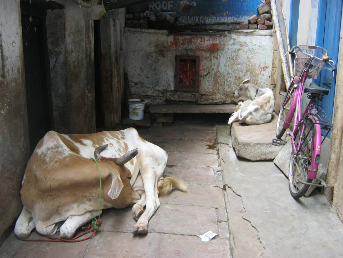 Varanasi