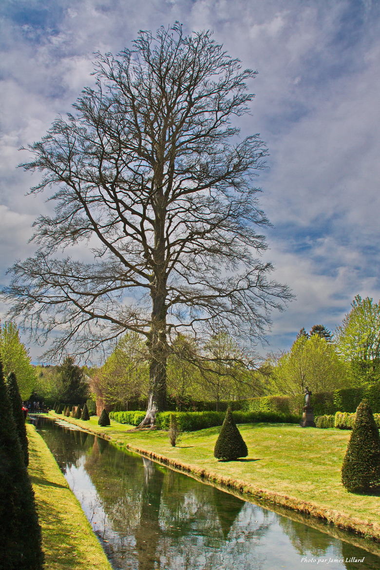 Reflet brisé