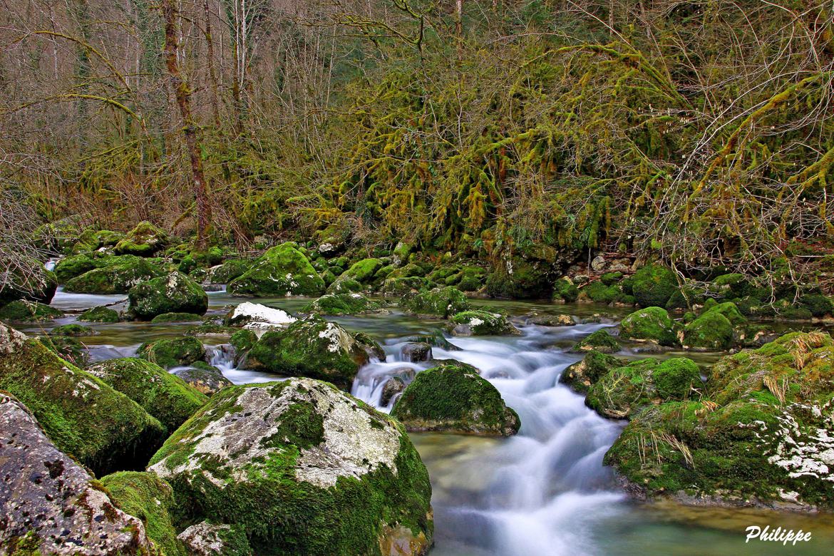 Rivière Albarine