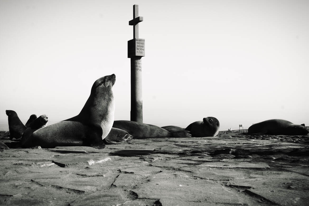 Les témoins du divin