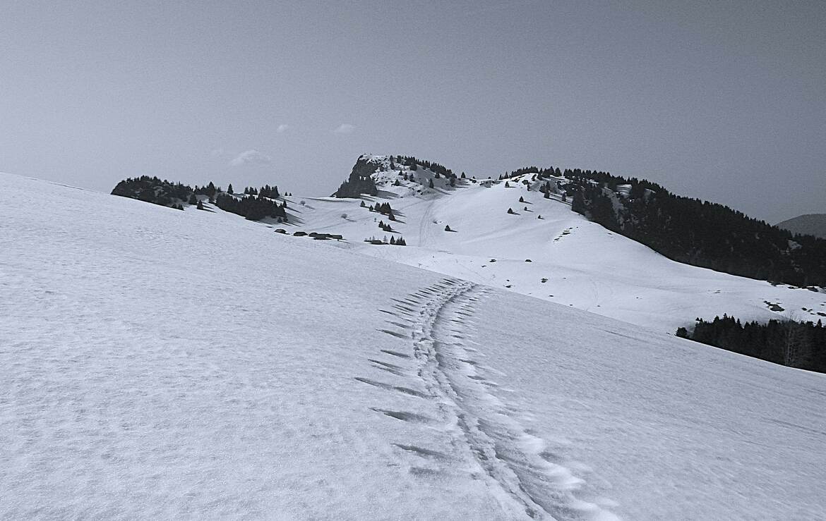 Marche détendue sur le plateau