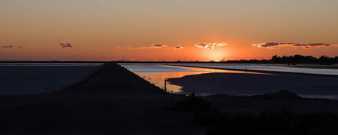 Reflets aux Salin de Giraud