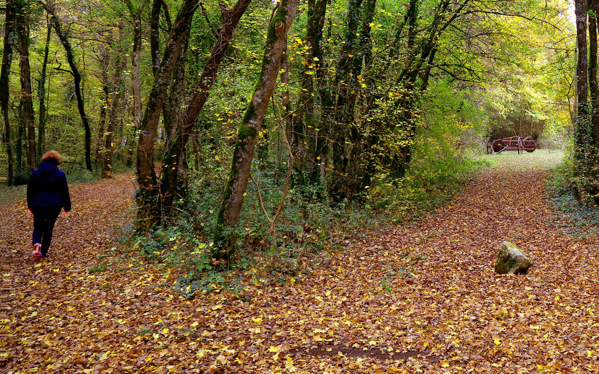 Le chemin à gauche