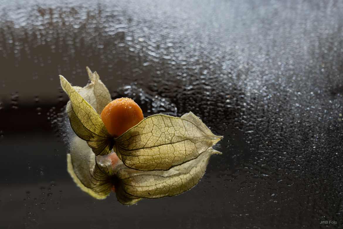 Fruit sur miroir