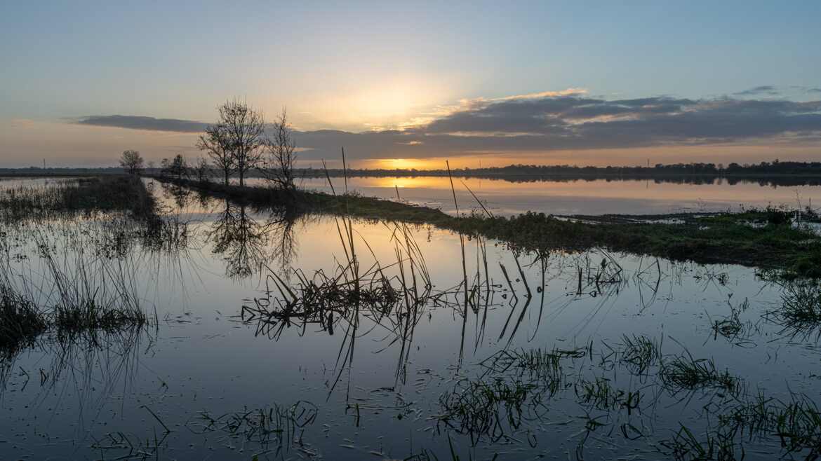 Première Lueur sur le Marais Poitevin