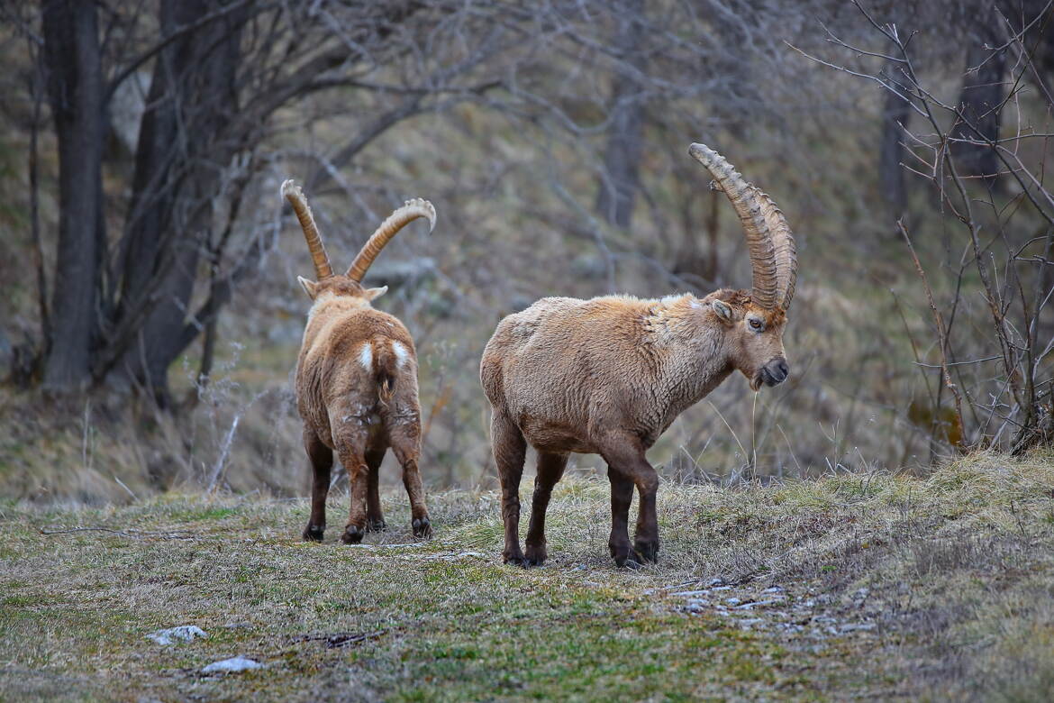 Le calme avant la tempête!