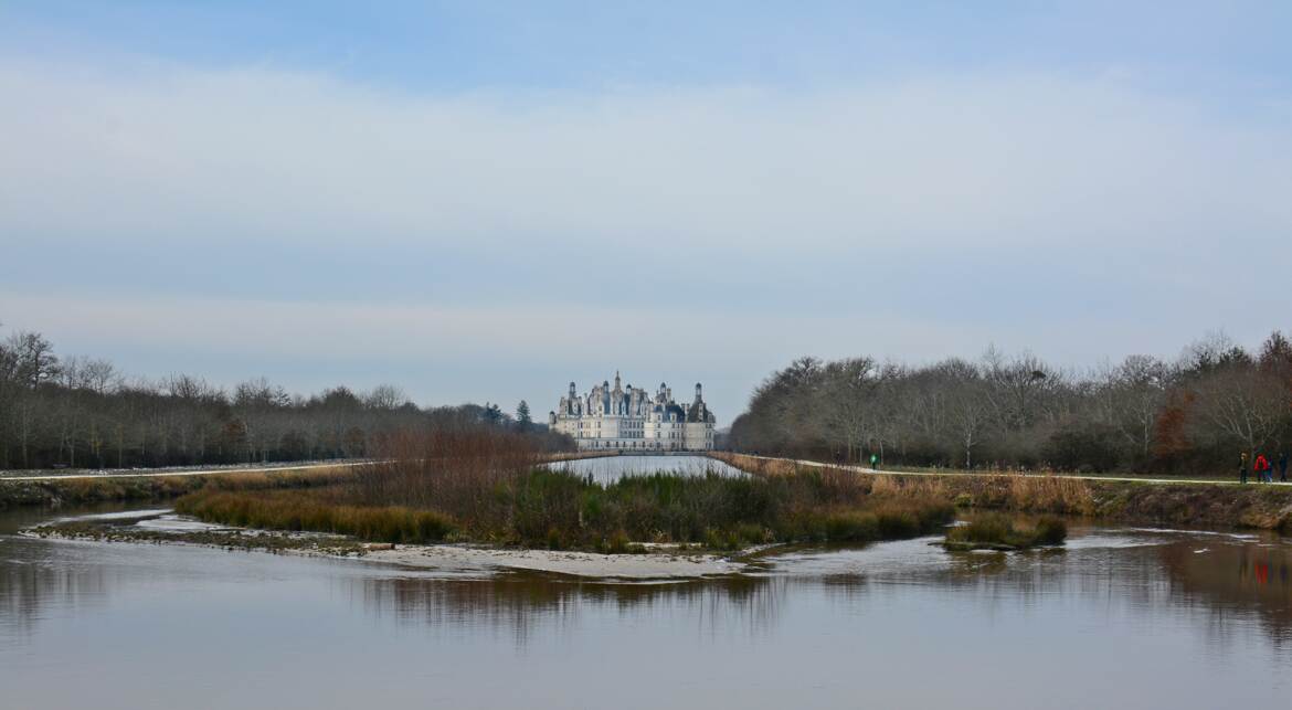 Chambord (vue arrière) dans son écrin