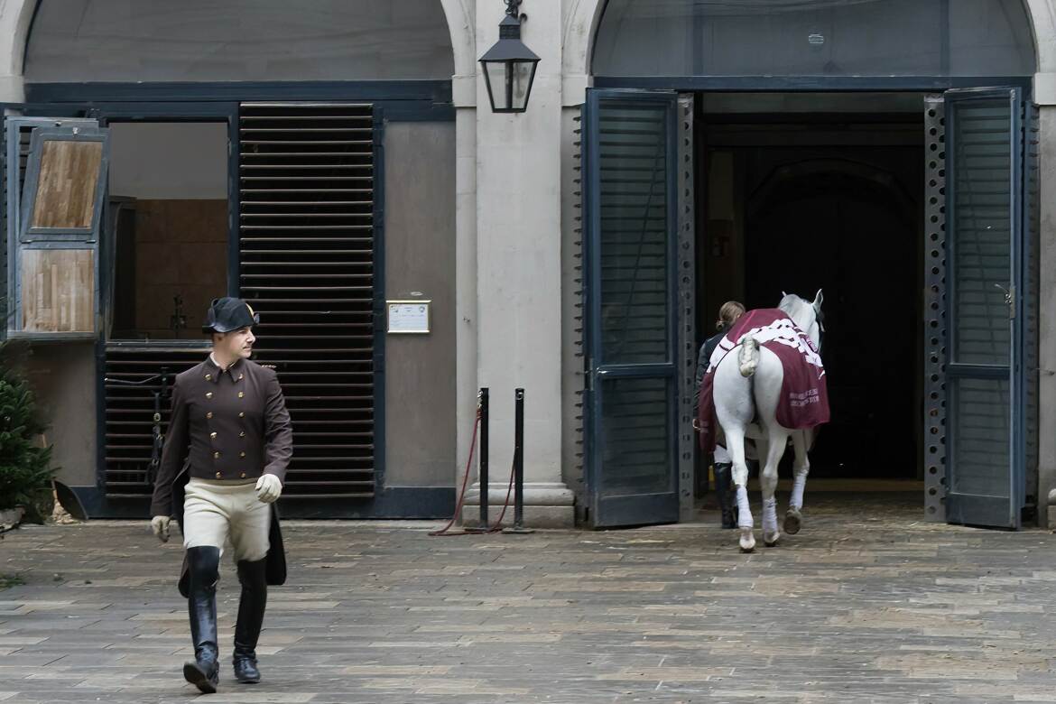 Ecole espagnole d'équitation