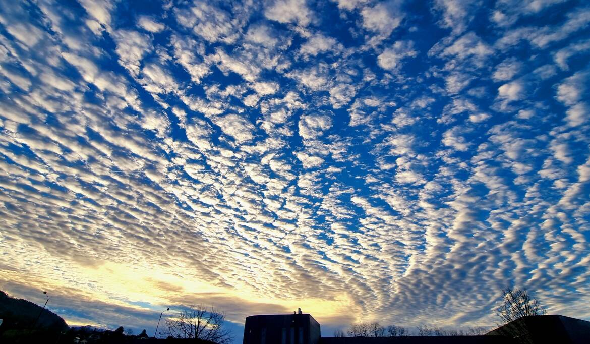 Des moutons dans le ciel