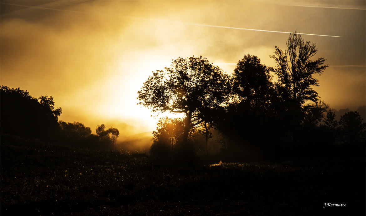 Lever de soleil embrumé