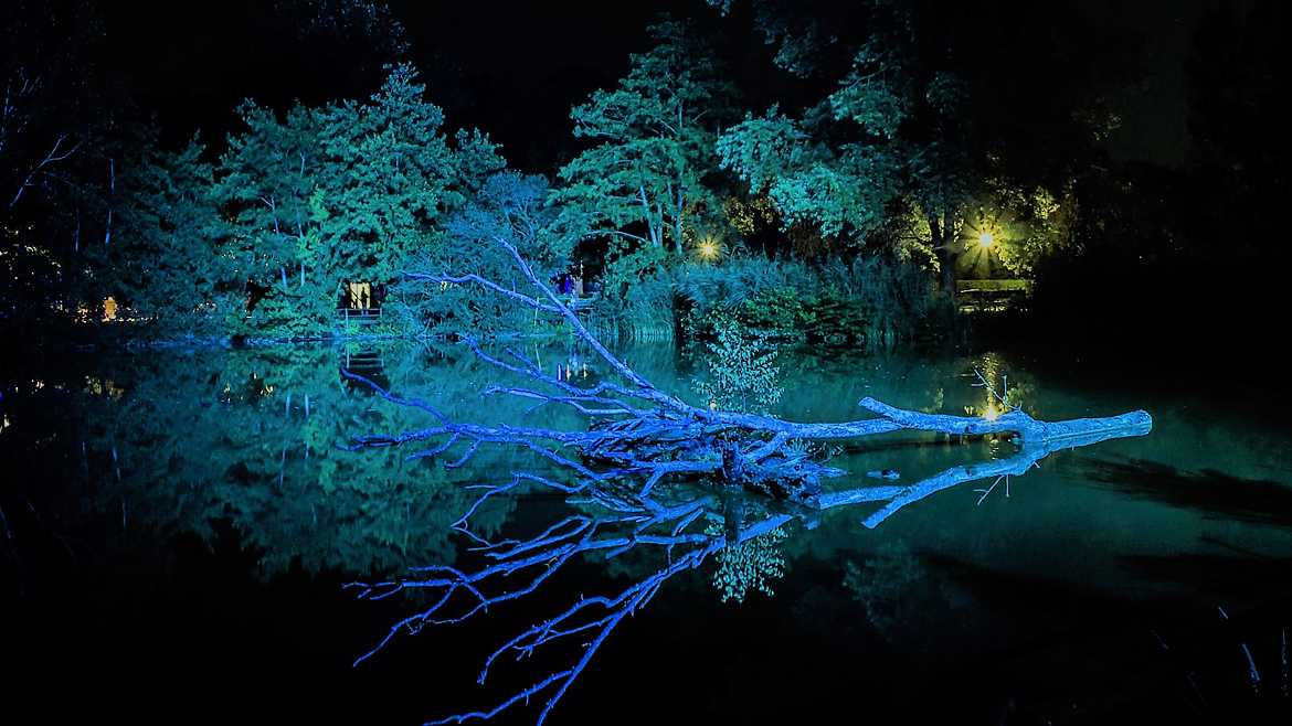 Reflets nocturne sur l'étang