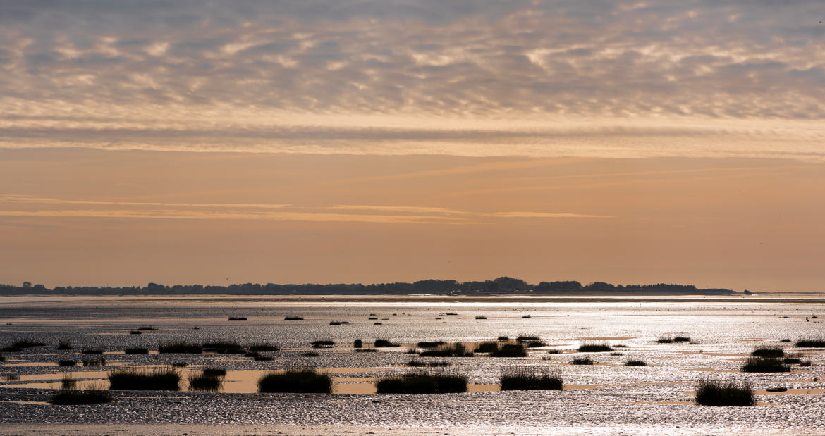 Baie de Somme