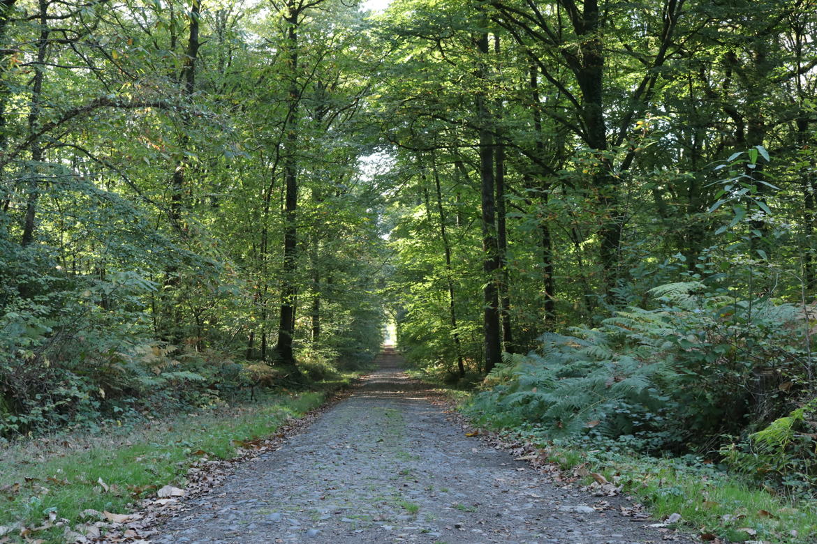 que ce passe t'il au bout du chemin