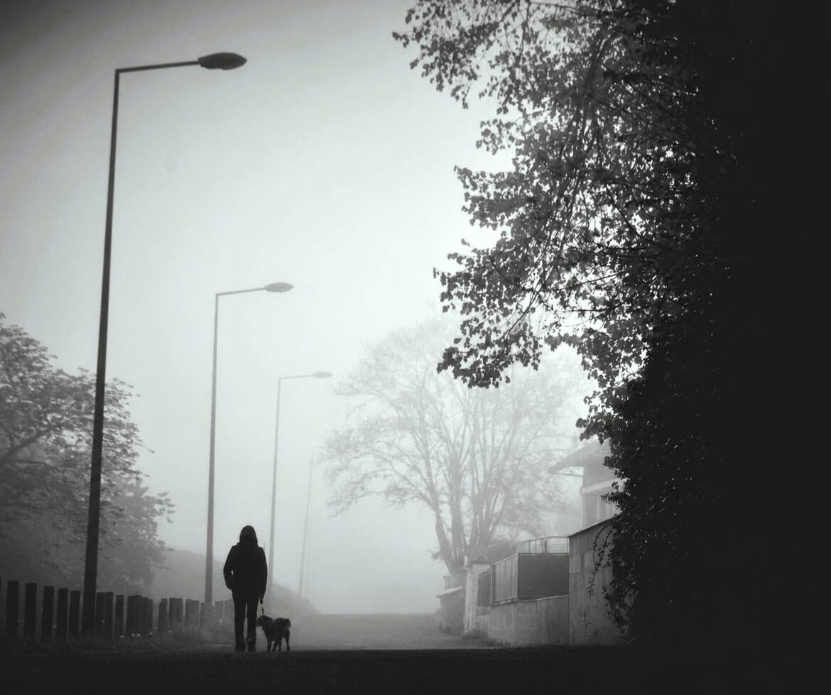 Brouillard d'automne.