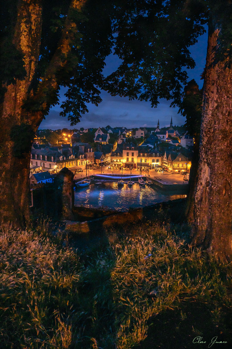 Entre les arbres .....Le Port