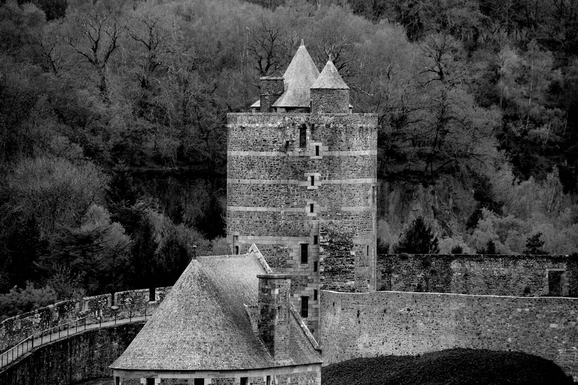 Château de Fougères