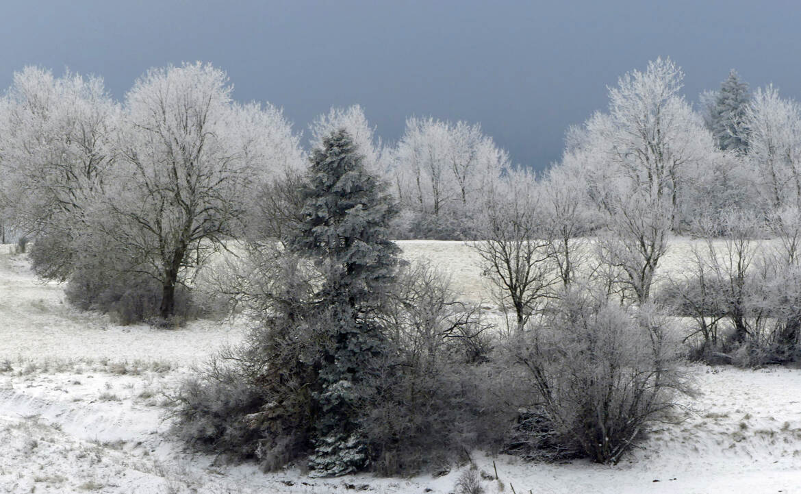 Paysage de Haute Loire VERSION 2