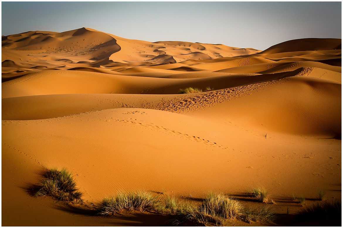 Sahara ..
