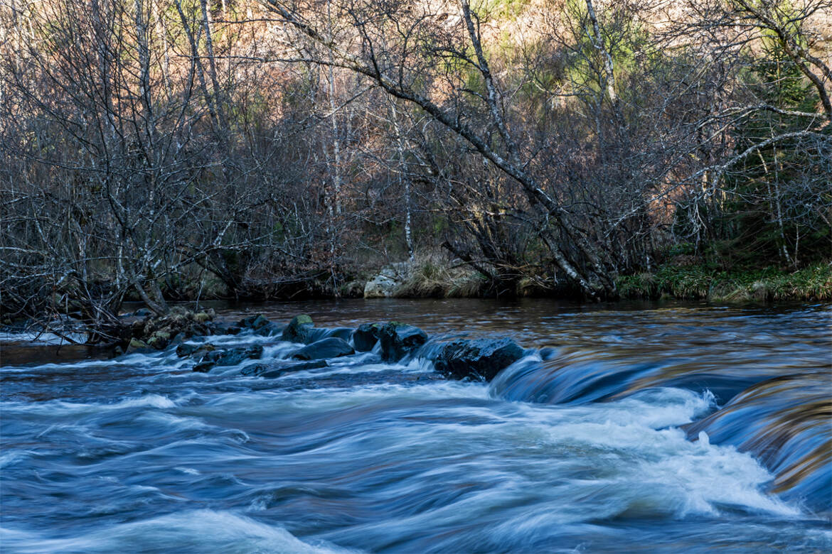 Au milieu coule une rivière