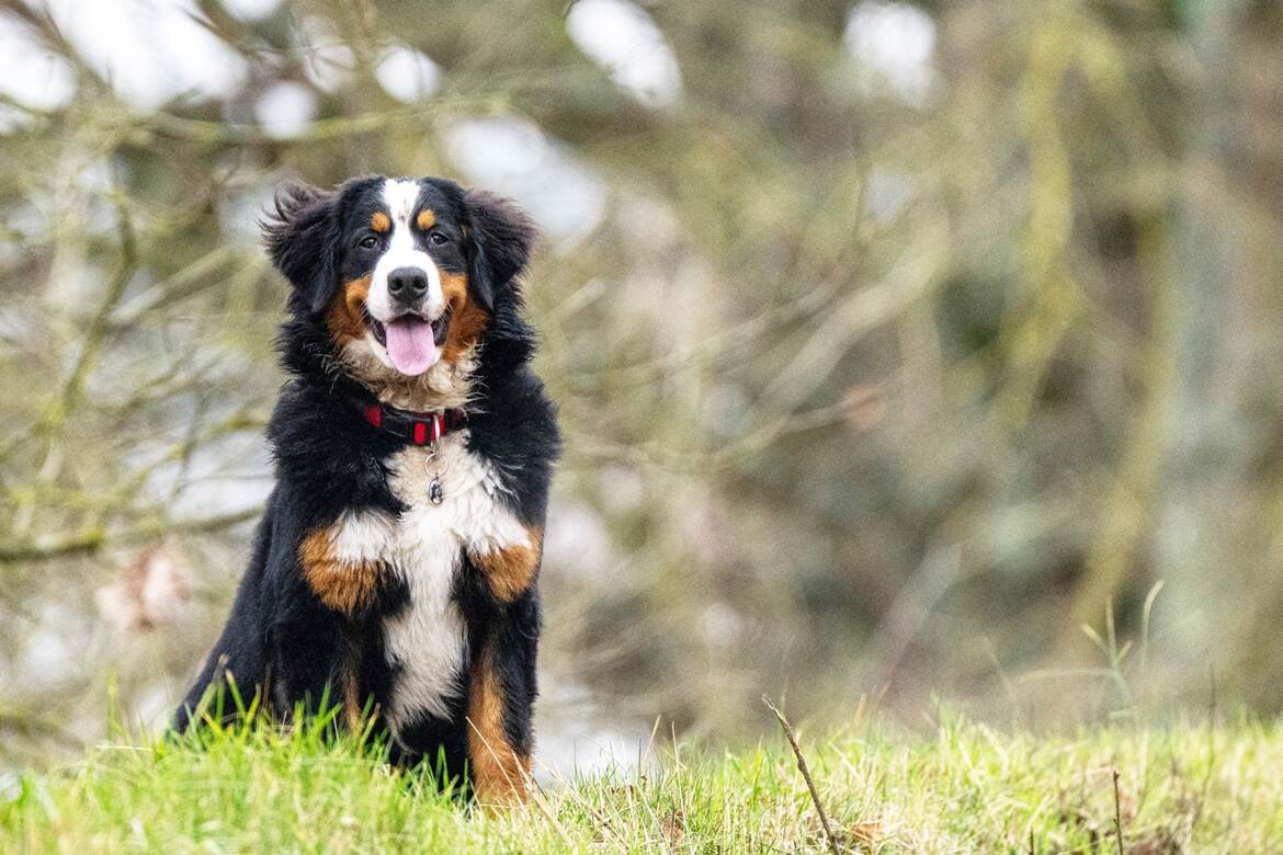 Charlotte bientôt 3 ans