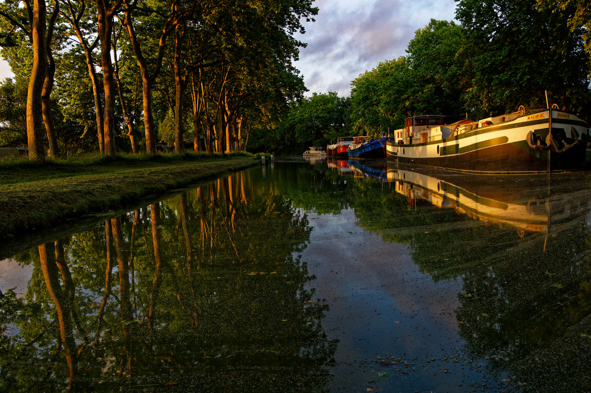 Le canal du midi au petit matin