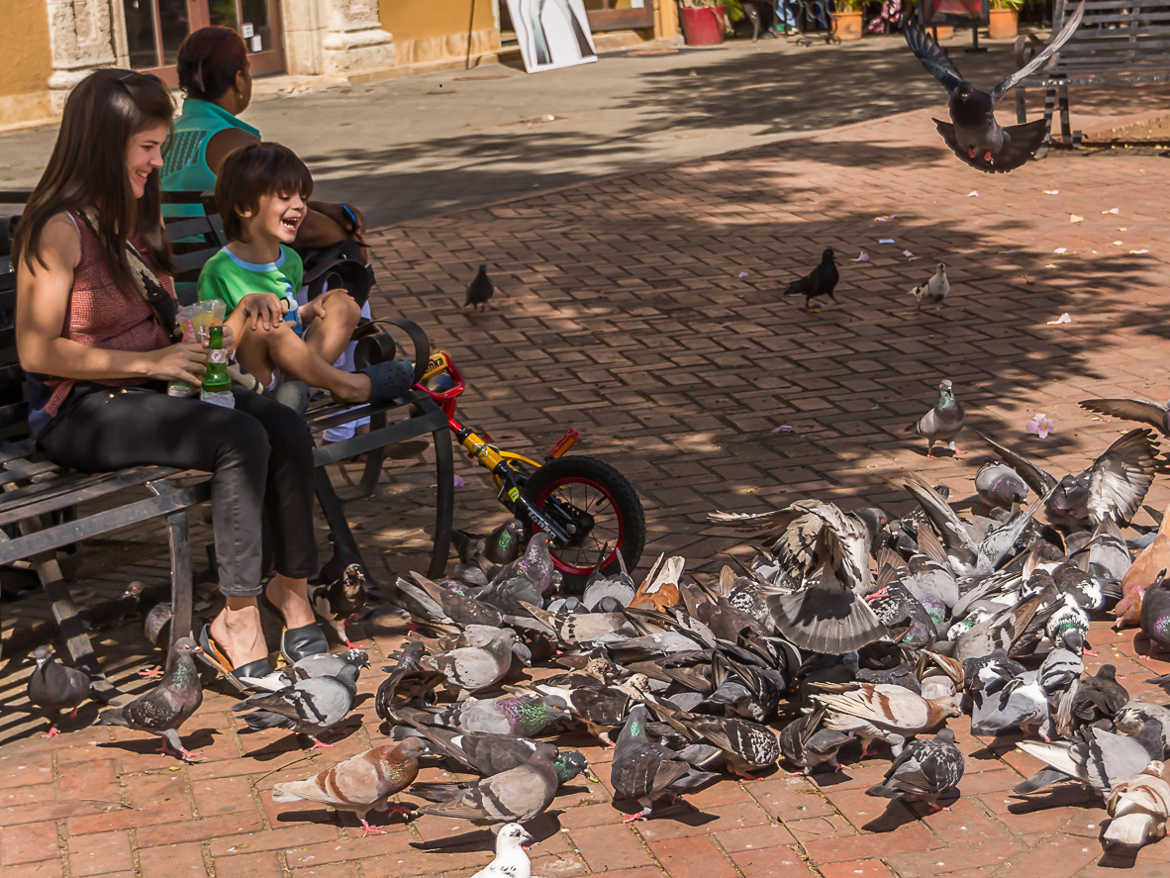 Enfant aux oiseaux