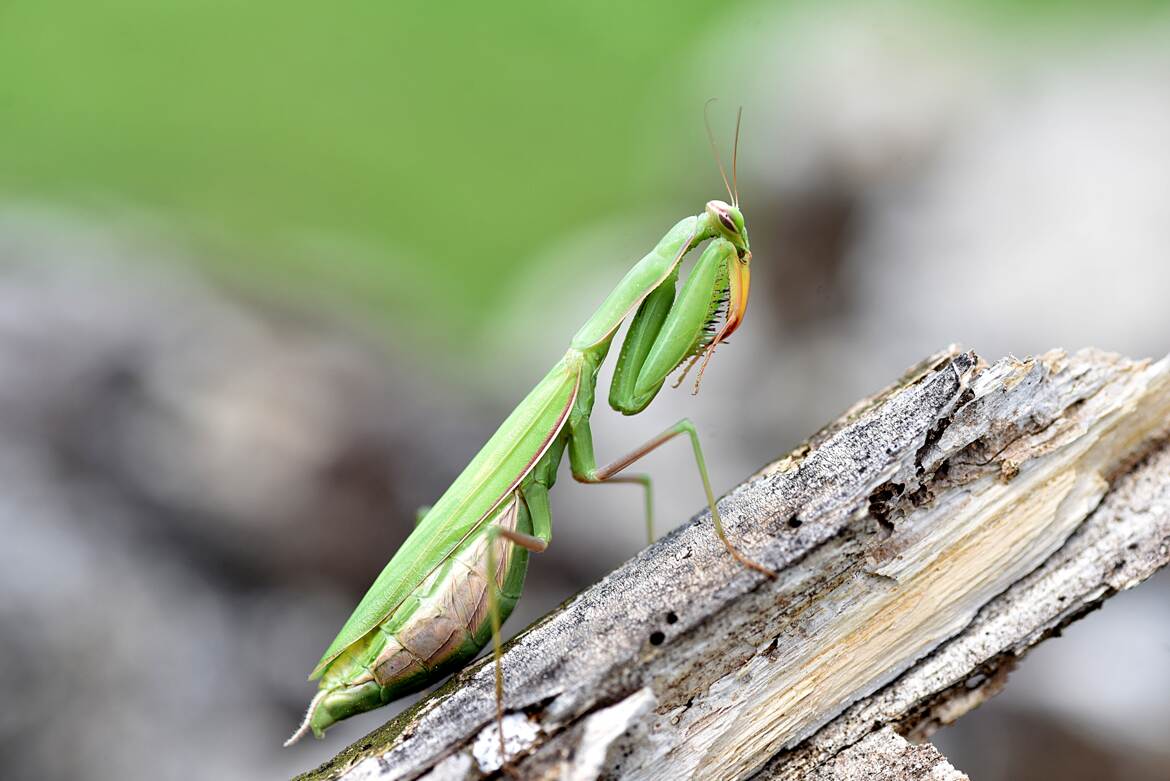 Prière de ne pas déranger !
