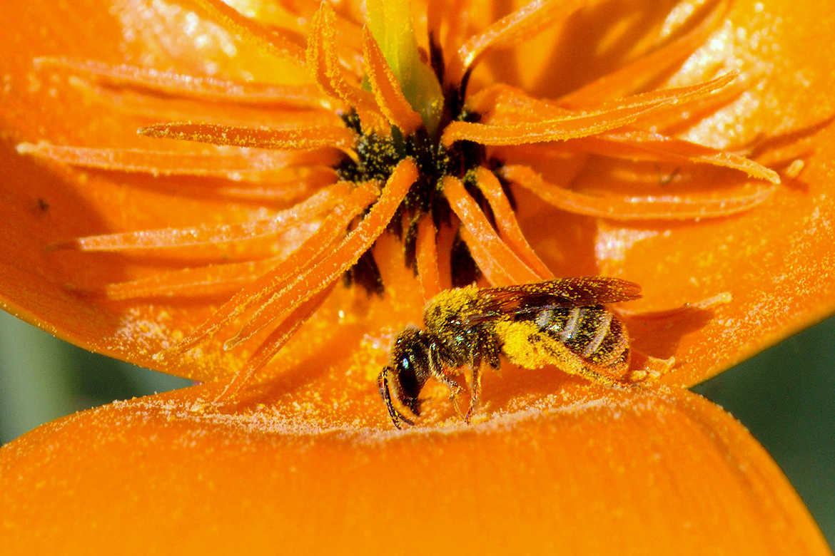 Prélèvement à la Source