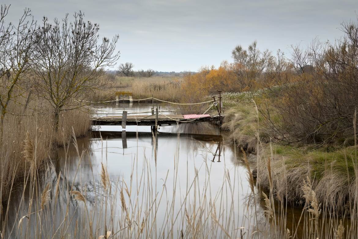 L'eau qui dort II