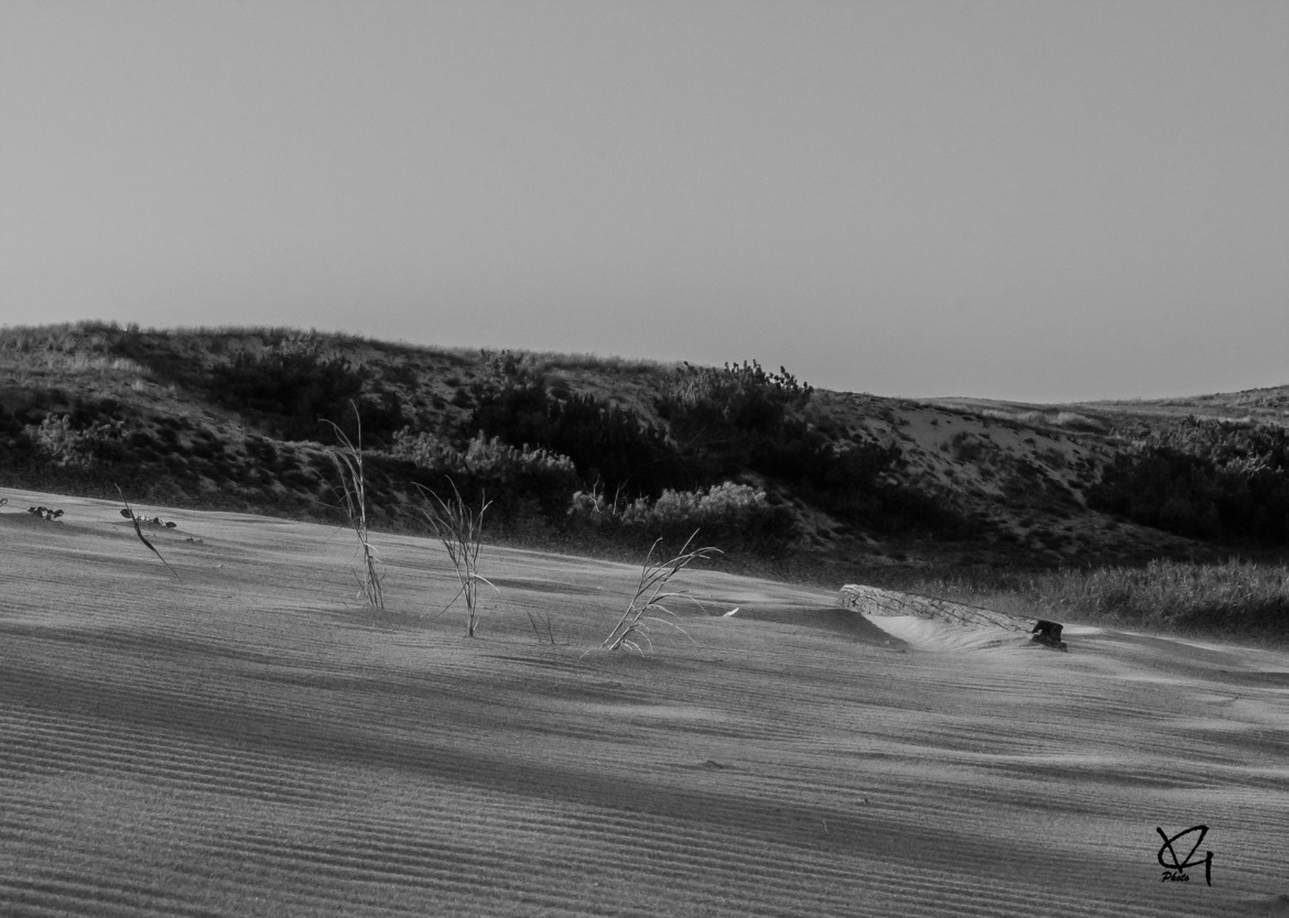 vent sur le sable